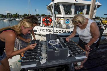 Three women taking samples of mussels held in a specialized metal rack used for in-water experiments