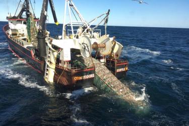 Photo of trawler F/V Commodore hauling in pollock catch in the Eastern Bering Sea.