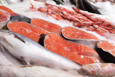 Fish at on ice at seafood counter