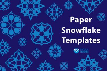 Graphic of four Woods Hole Science Aquarium snowflake templates