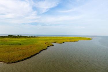 Salt Marsh in Texas