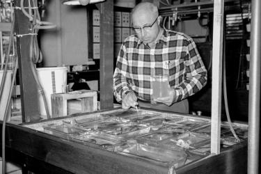 Victor Loosanoff working in the lab. Photo: NOAA Fisheries