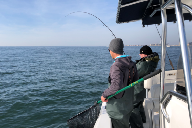 Anglers fishing for striped bass off Long Island, New York