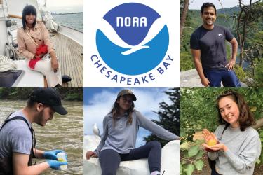 A collage of portraits of NOAA Chesapeake Bay Office 2021 interns