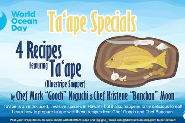Cover image of World Oceans Day Taape Specials Four Recipes.