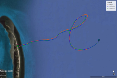 A map showing turtle effigy and turtle carcass drift track comparison. 