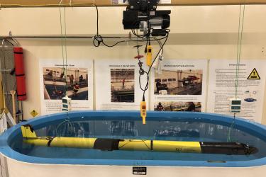 large yellow and black glider suspended over pool
