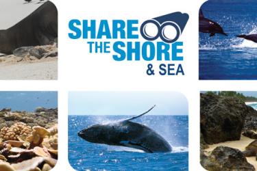 Photo collage of marine animals in the Pacific Islands region.