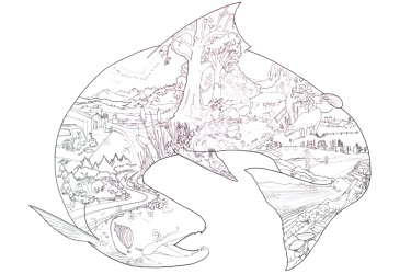 salmon mural coloring sheet 