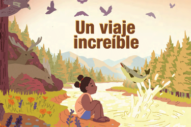 Cover image for un viaje increible