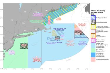 Scallop Wall Map 2022