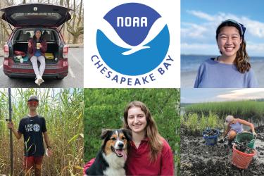 Collage including photos of five college students
