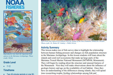 First page of "Island Fish" lesson plan on the Marianas Trench Marine National Monument. Describes activity summary, grade level, timeframe, and materials.