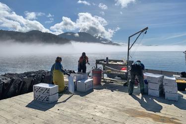 Monitoring work at Salty Lady Seafood farm. Credit: NOAA Fisheries.