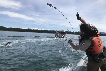 Park Ranger Bethany Robichaud throws a grapple in a practice session at Glacier Bay National Park.
