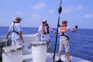 Deploying longline gear from the NOAA Ship Oregon II.