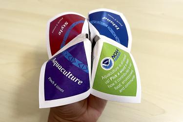 Folded paper fortune teller activity.