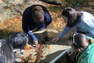 Four women crouch over a seine net in a shallow stream