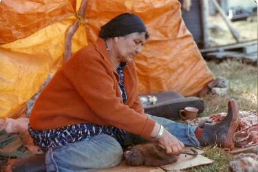 Woman skinning muskrats