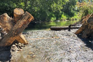 A shallow creek runs over small rocks and into a larger creek. 