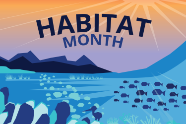 Graphic celebrating Habitat Month showing the dark blue outlines of a bird, a school of fish, and seagrass.
