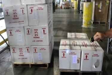 Officers found thousands of pounds of imported lobster that were repackaged into boxes labeled as products of the U.S.A.