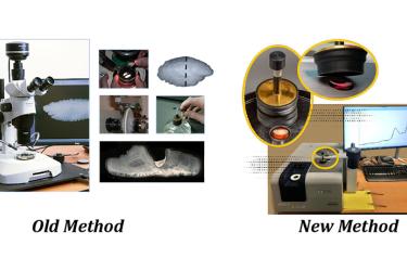 Left: scientific images showing how to determine age of an otolith, Right: shows scientific tools for a newer method of determining age