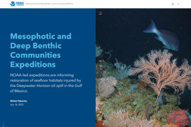 A screenshot of the NOAA mesophotic and deep benthic communities restoration StoryMap