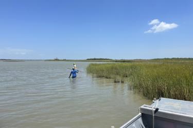 2 people walking in hip deep marsh water