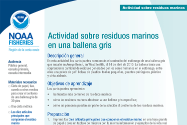 Actividad sobre residuos marinos en una ballena gris