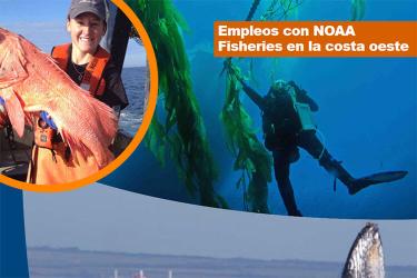 Empleos con NOAA Fisheries en la costa oeste