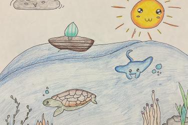 sea turtle with giant manta ray