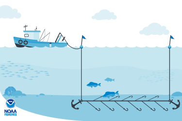 Graphic design illustration bottom longline fishing gear lying on the sea floor with fish swimming nearby. The bottom long line is connected to a blue fishing vessel in the background. 