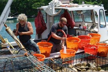 Two men spray baskets of oysters on a boat. 