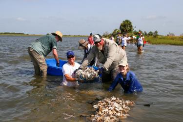 Volunteers build an oyster reef from recycled oyster shells (Photo: Galveston Bay Foundation)