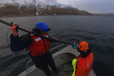 The team used a new piece of equipment: a live-streaming camera attached to a 28-foot long pole behind a fixed knife. 