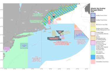 Scallop wall map 2024.