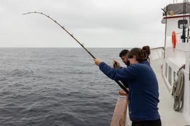 Anglers fishing of the side side of a boat.