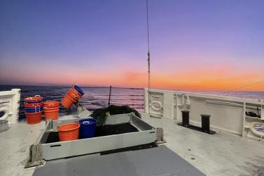 An orange sky shines over the back deck of a boat