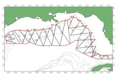Tracklines zigzag through the northern Gulf of Mexico.