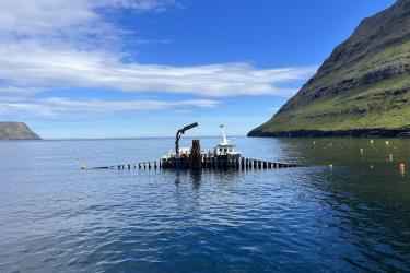 A vessel lifts a seaweed line in a fjord in the Faroe Islands. 