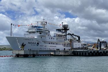 A large white ship is docked at a pier and is draped with many colorful flags