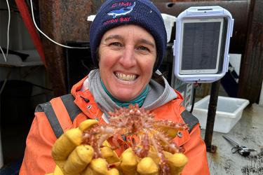 Scientist in orange jumpsuit and blue beanie holding a small and red crab