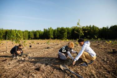 Three students kneel in a dirt field as they plant small trees.