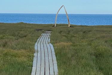 Wooden path on grass that leads to whale bones near the ocean.