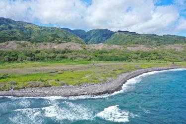 Waiheʻe Coastal Dunes and Wetlands Refuge. Credit: Hawaiʻi Land Trust