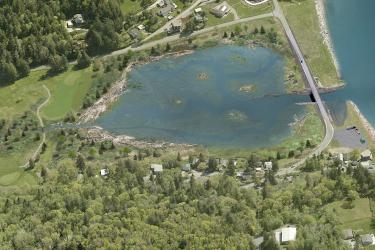 Artist's concept of the restored Similk Estuary. Credit: Artist Studio, llc.