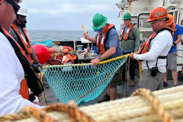 Crew aboard a fishing vessel preparing a net