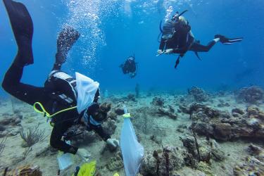 Coral restoration divers in Butler Bay on St. Croix, U.S. Virgin Islands. 