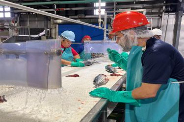 Processing line
